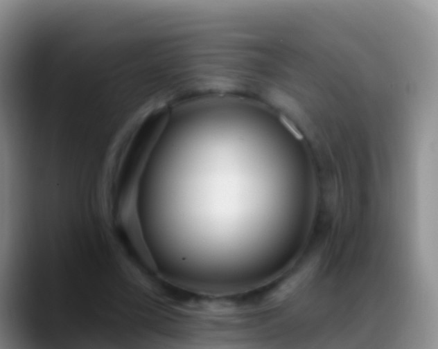 X0000088920395200706151928