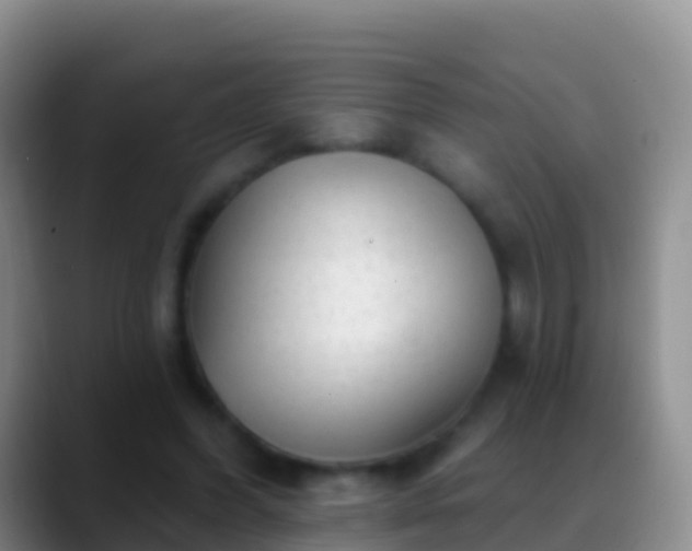 X0000088920396200706151928