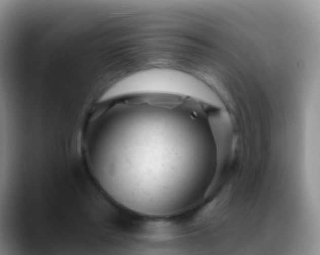 X0000088920397200706151928