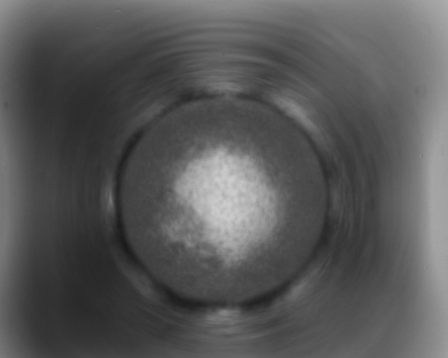 X0000088920398200706151928