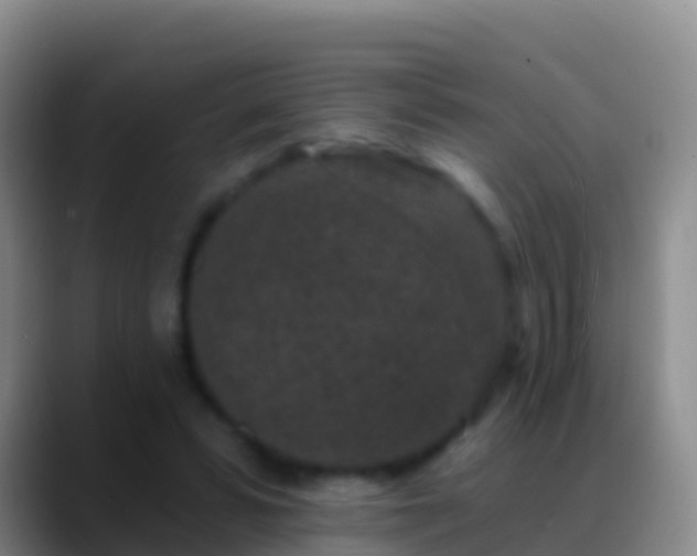 X0000088920399200706151928