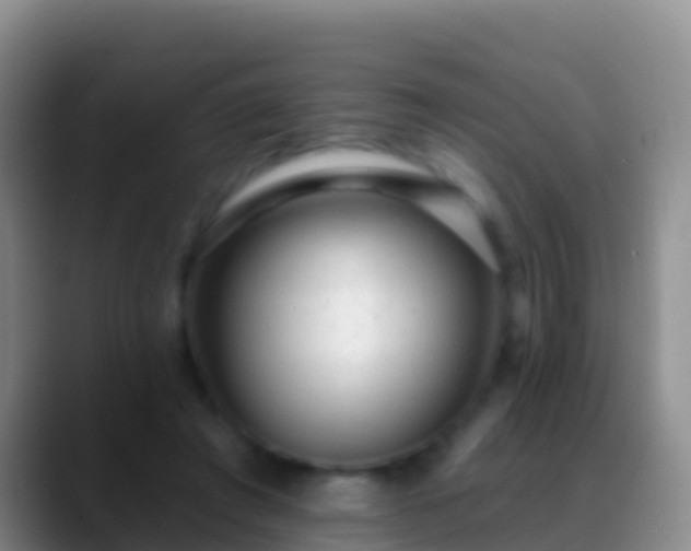 X0000088920401200706151928