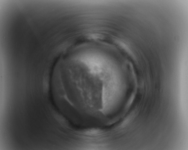 X0000088920402200706151928