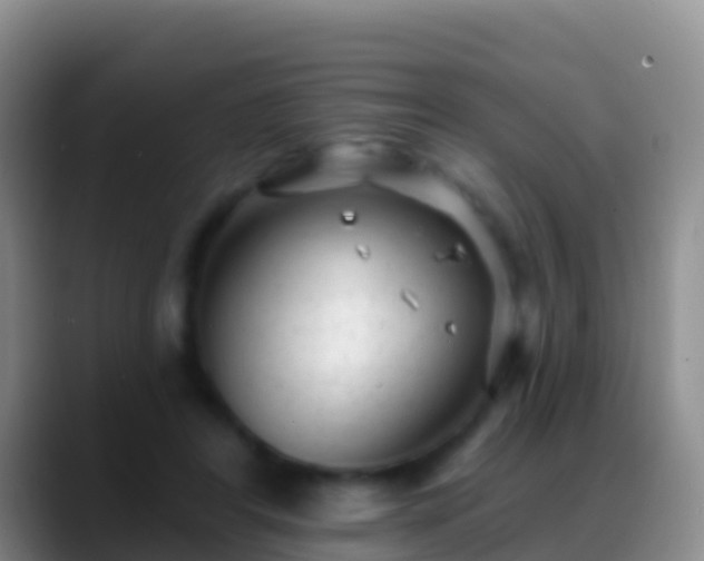 X0000088920404200706151928