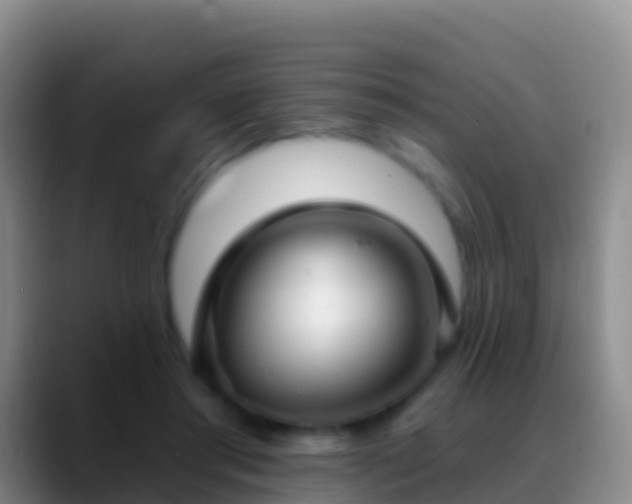 X0000088920405200706151928