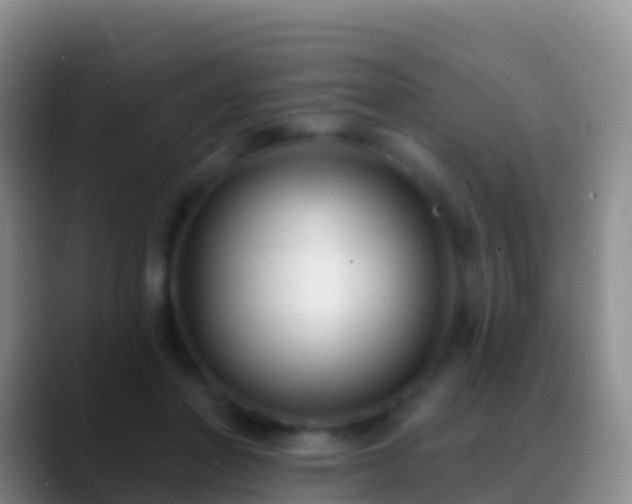 X0000088920406200706151928