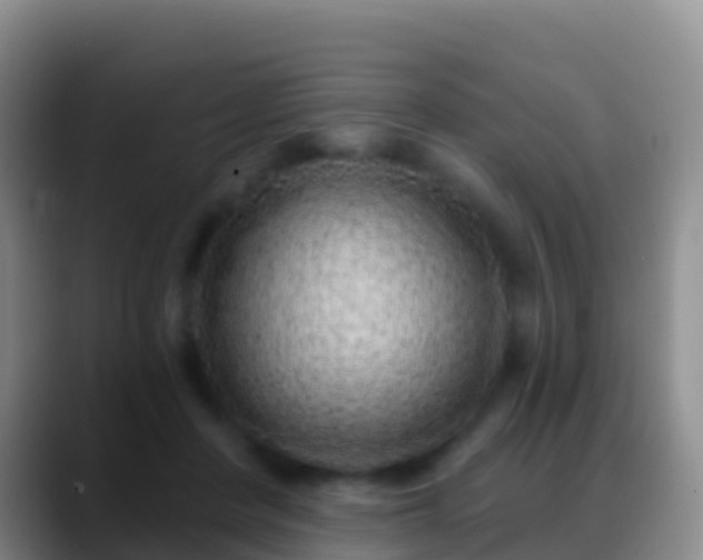 X0000088920408200706151928