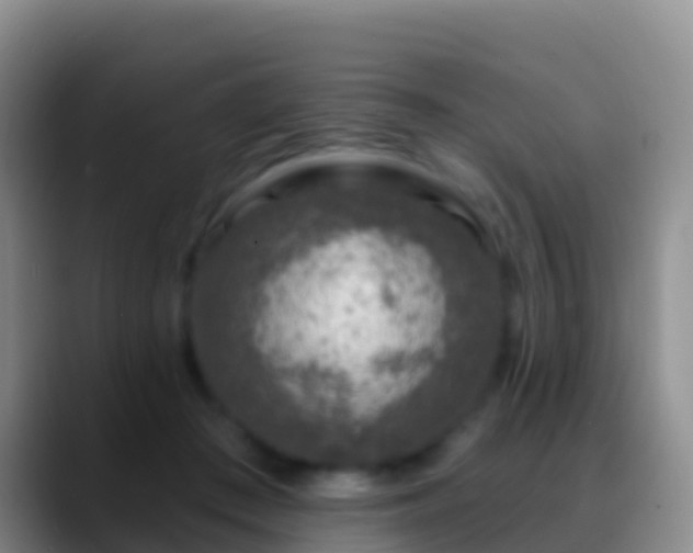 X0000088920409200706151928