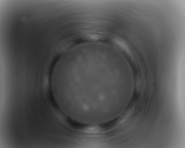 X0000088920410200706151928