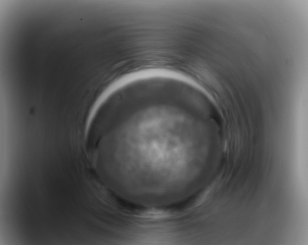 X0000088920413200706151928