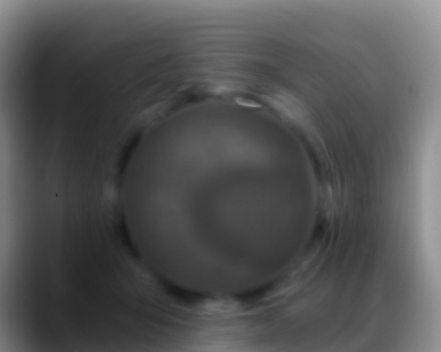 X0000088920415200706151928