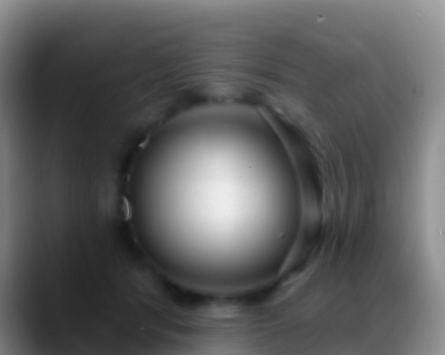 X0000088920416200706151928