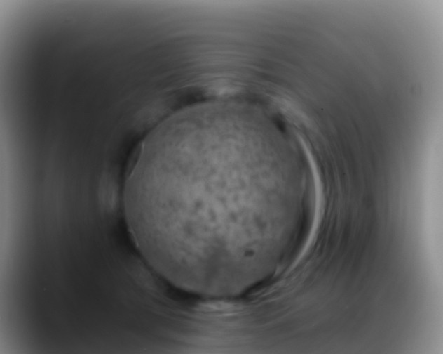 X0000088920417200706151928