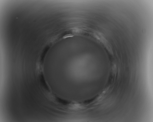 X0000088920419200706151928