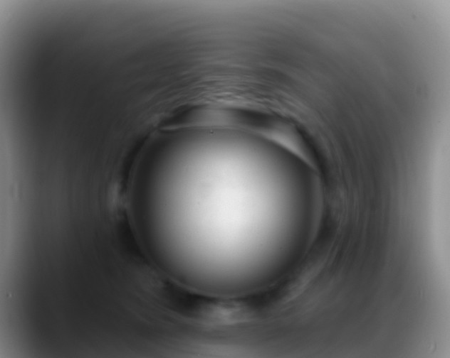 X0000088920420200706151928