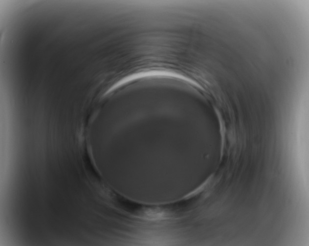 X0000088920423200706151928