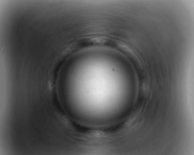 X0000088920424200706151928