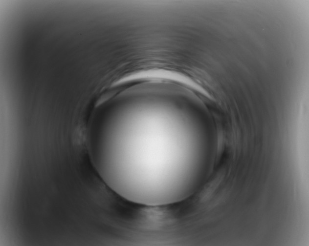 X0000088920425200706151928