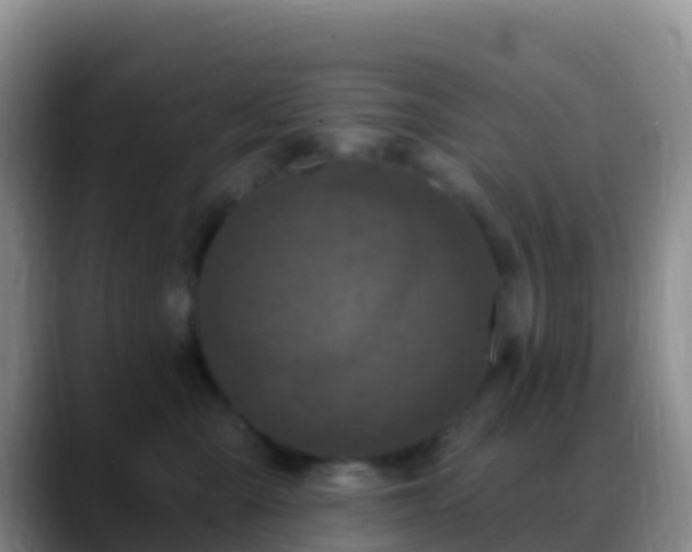 X0000088920427200706151928