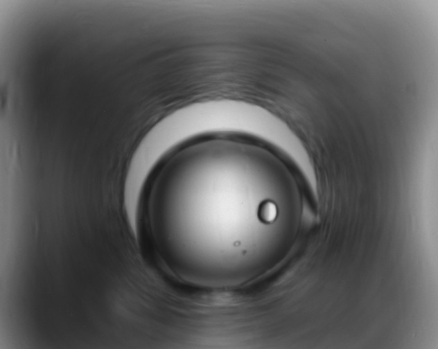 X0000088920428200706151928
