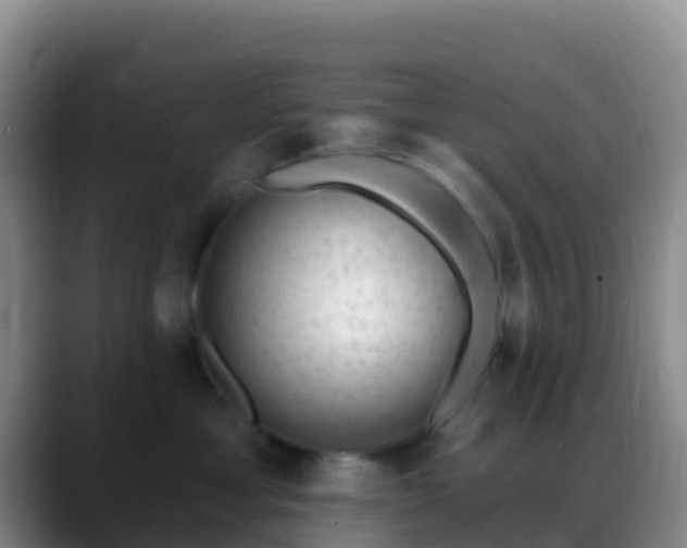 X0000088920429200706151928