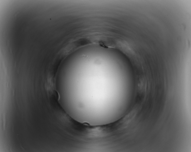 X0000088920430200706151928