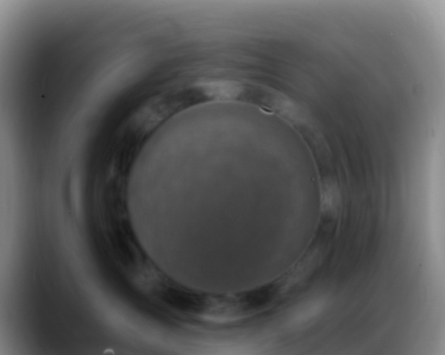 X0000088920431200706151928