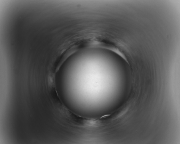 X0000088920432200706151928