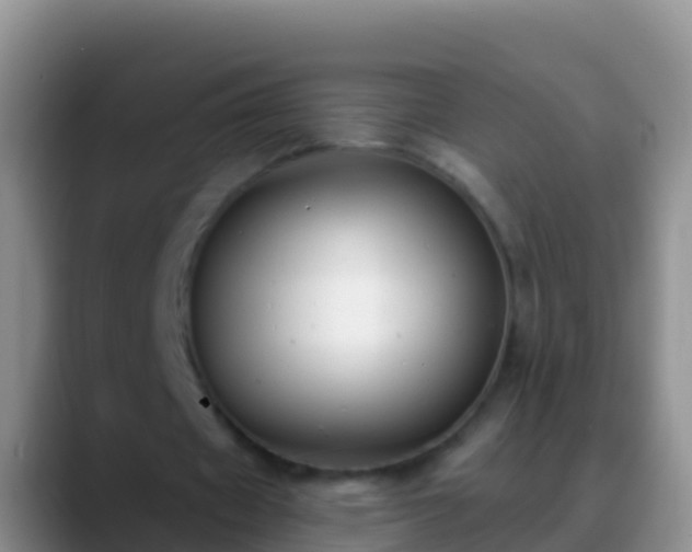 X0000088920433200706151927