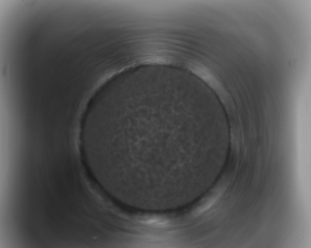 X0000088920434200706151927
