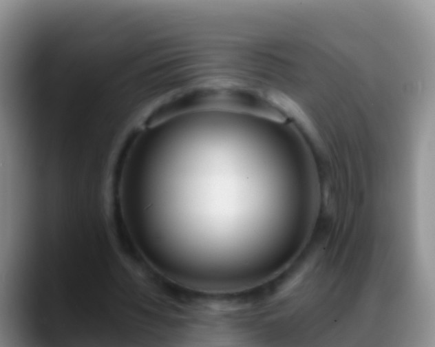 X0000088920436200706151927