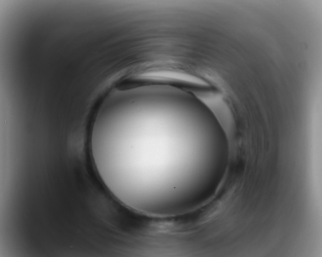 X0000088920440200706151927