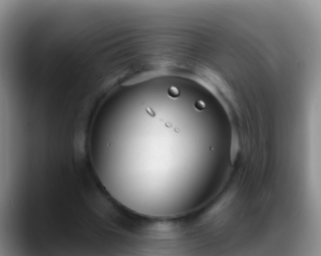 X0000088920441200706151927