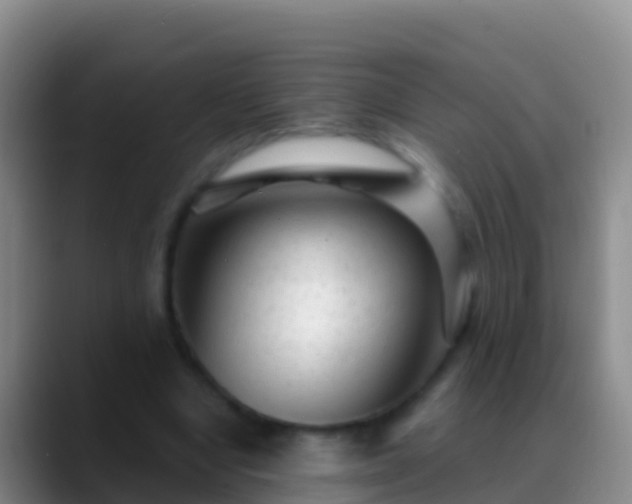 X0000088920442200706151927