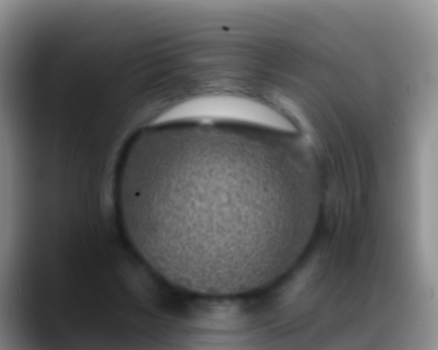 X0000088920443200706151927