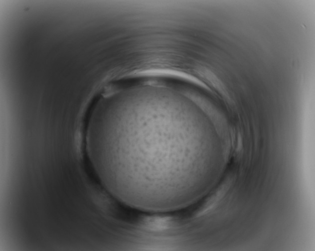 X0000088920444200706151927