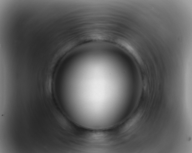 X0000088920445200706151927