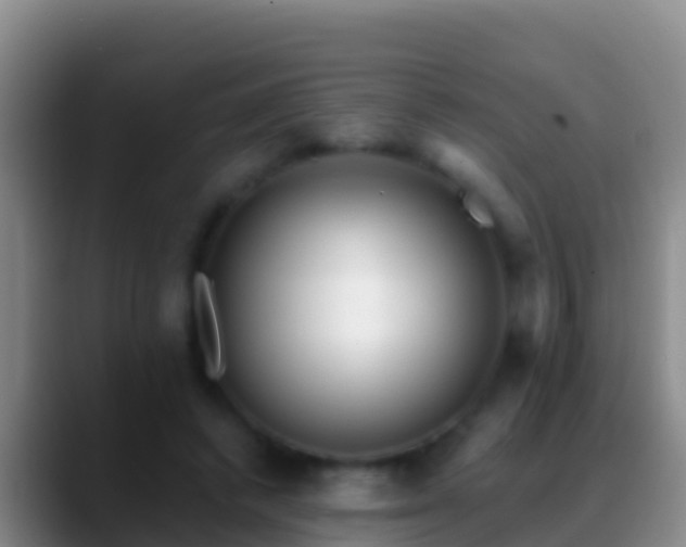 X0000088920448200706151927