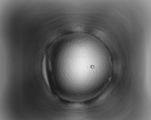 X0000088920449200706151927