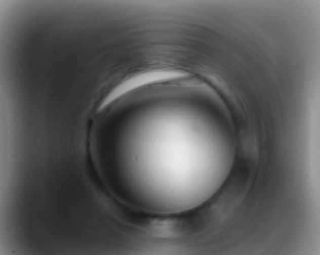 X0000088920450200706151927