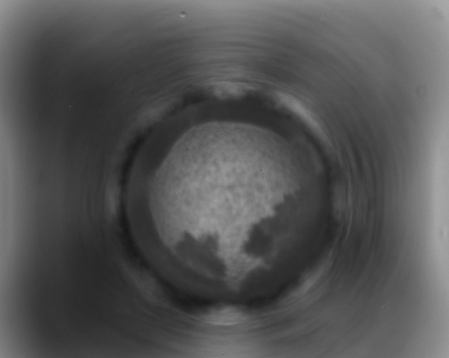 X0000088920451200706151927