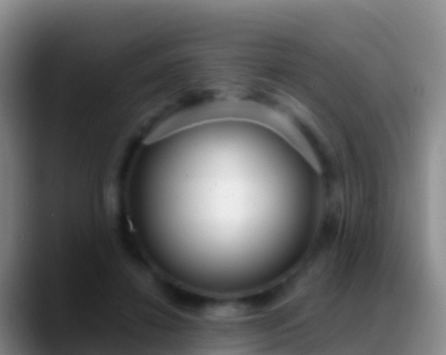 X0000088920452200706151927