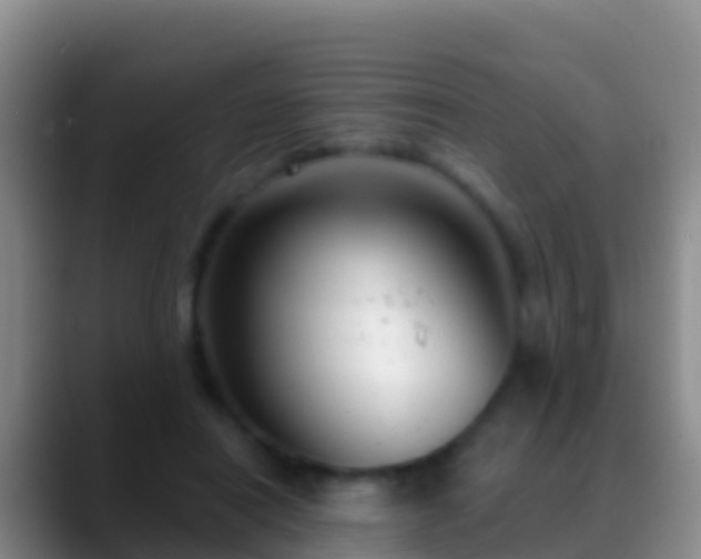 X0000088920454200706151927