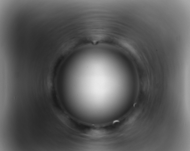 X0000088920455200706151927