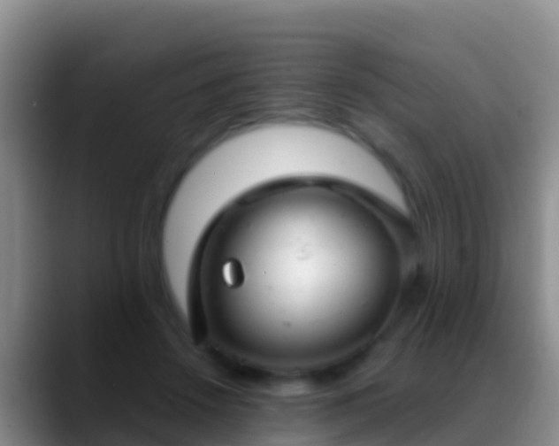X0000088920456200706151927