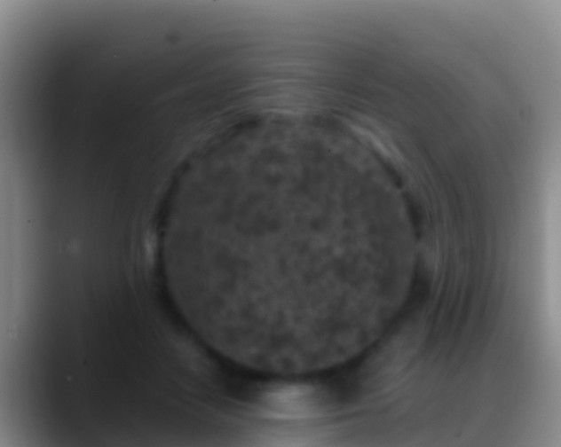 X0000088920458200706151927
