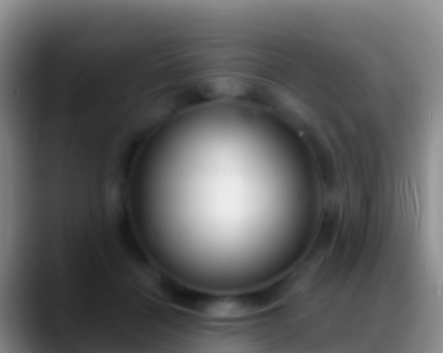X0000088920460200706151927