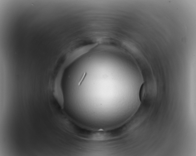 X0000088920461200706151927