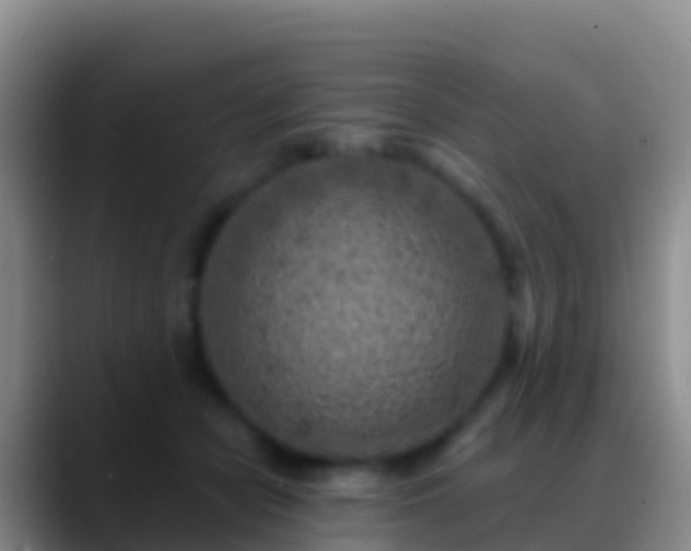 X0000088920462200706151927