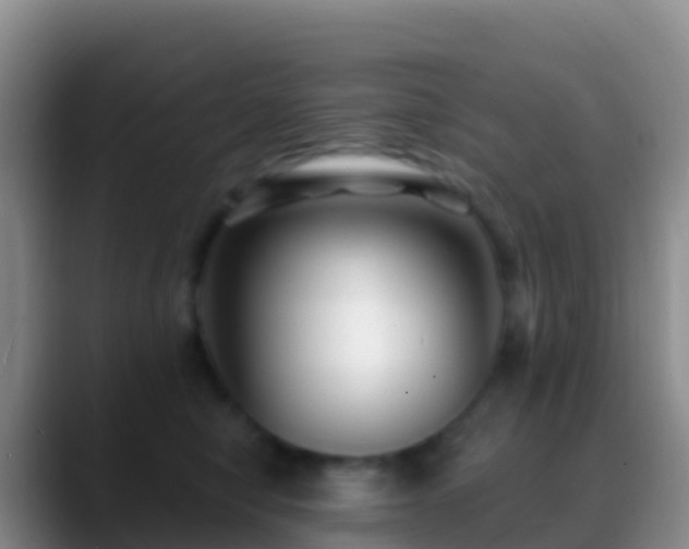 X0000088920470200706151927